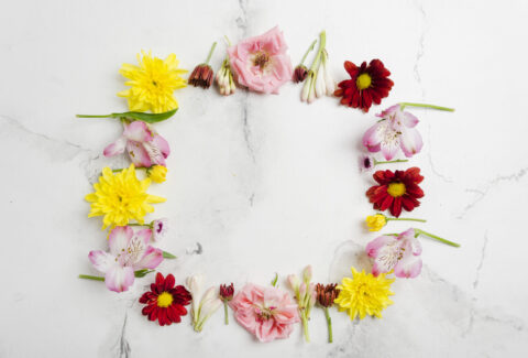 top-view-assortment-spring-flowers