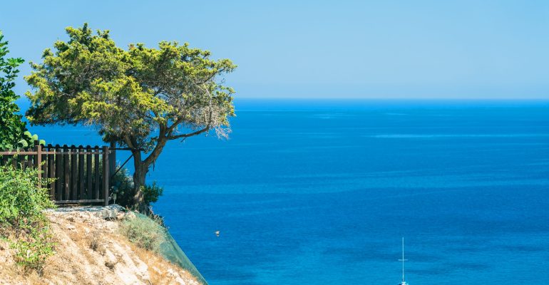 Beautiful olive tree on cliff over a bright blue sea with a boat. Near Cape Greco on Cyprus island, Mediterranean Sea