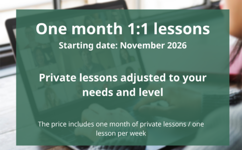 one-on-one greek lessons online