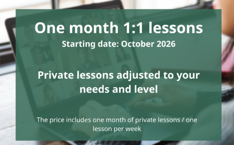one-on-one greek lessons online